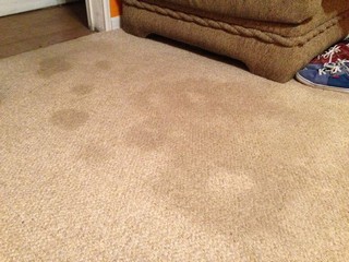 old carpet